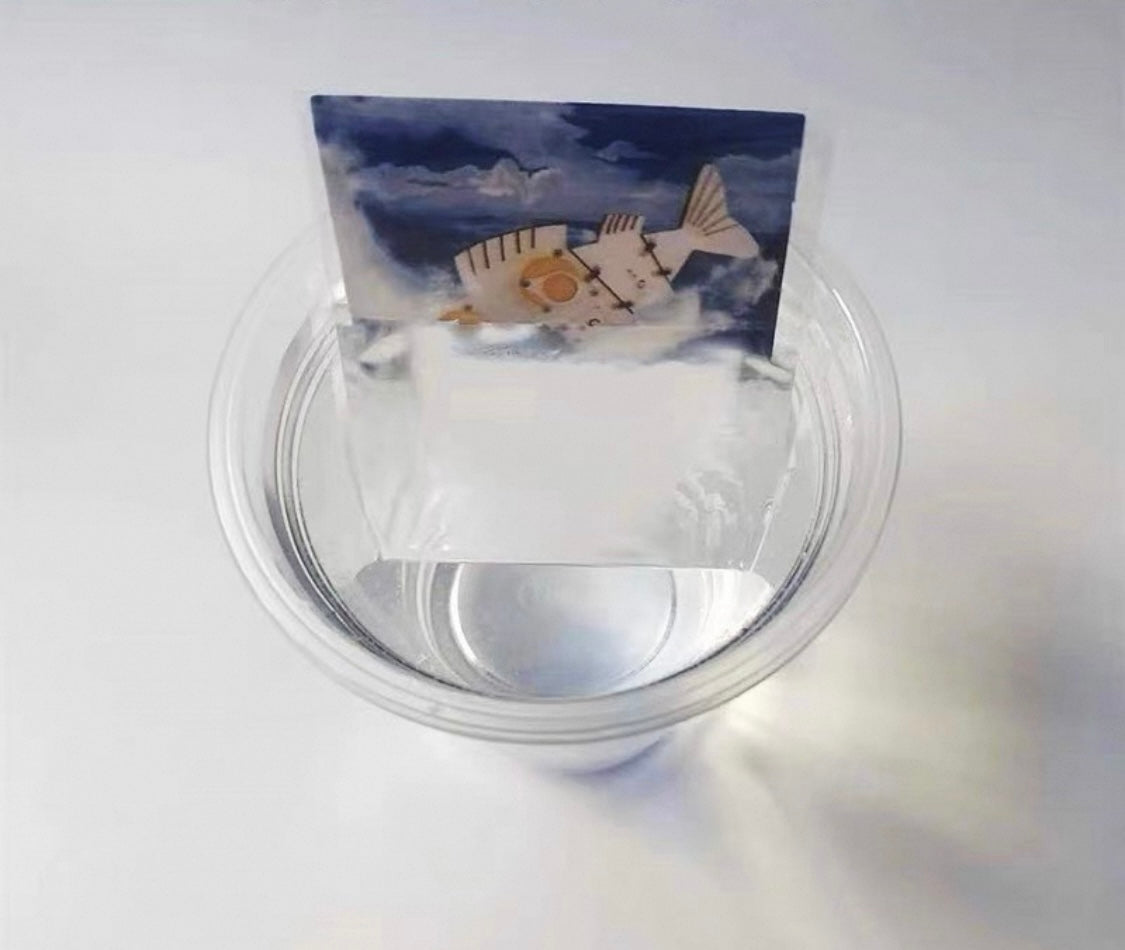 Light Refraction Magic