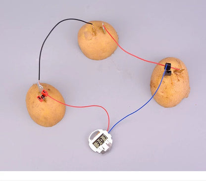 Fruit Powered Clock