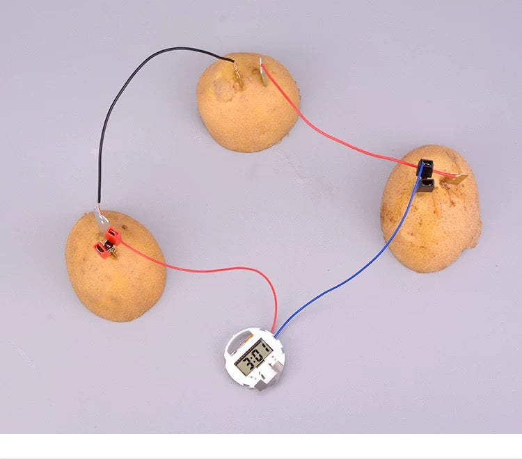Fruit-Powered Clock STEM Kit – Electricity & Circuits