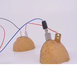 Fruit-Powered Clock STEM Kit – Electricity & Circuits